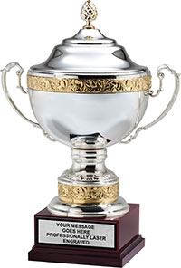 Silver Plated Cup with Gold Flourished Bands [CM1576-21]