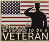 Proud to be a Veteran American Flag Pin [PVET2-G]