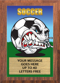 Full Color Plaques [PFCSTK5-SC]