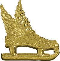 Ice Skate Chenille Pin [PCH-26]