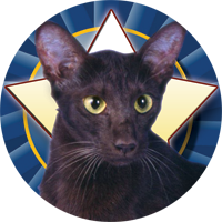 Cats- Oriental Insert [TD-2513]