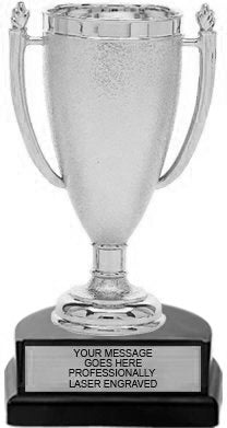 Silver Plastic Open Cup