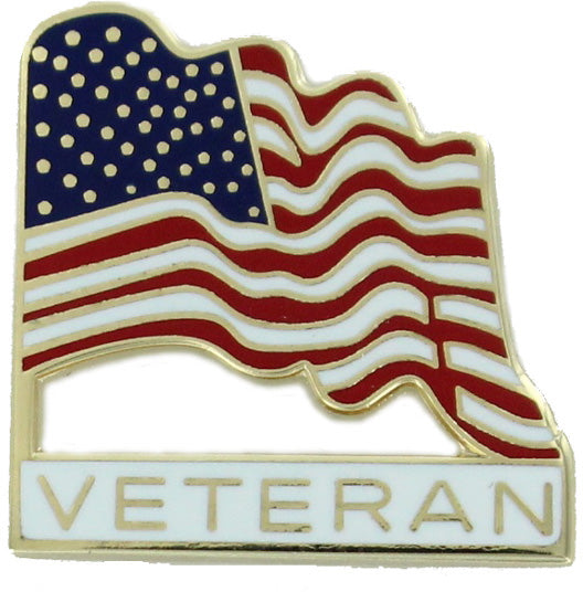 Veteran American Flag Pin [PCM-USA-659]