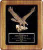 Plaque with Black Velour and Eagle Casting [TD2397]