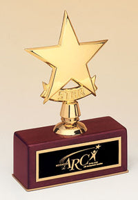 Polished Metal Star on Rosewood Piano-Finish Base [TDS108]