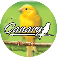 Birds- Canary Insert [TD-2434]