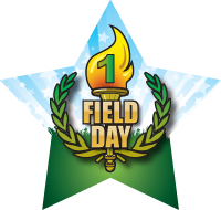 Field Day- 1st Place Torch Star Insert [ST-1407]