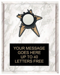 Volleyball Spring Loaded Plaque [PRBI810-VB]