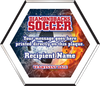 Full Color Hexagon Soccer Plaque [PHXSC8FC]