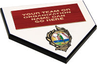 Home Plate 10"Insert Plaque [PHPI10]
