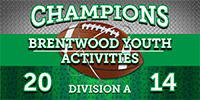 Football 3 x 6 Vinyl Banner- Field [VB-FB-FLD-36]