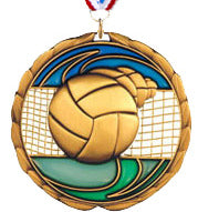 Volleyball Epoxy Color Medal - Gold [MEC2-VB-G]
