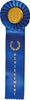 Achievement Single Streamer Rosette Ribbon [R10R1-ACH]