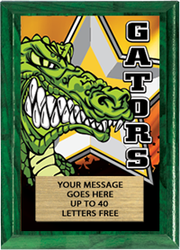 Full Color Plaques [PFCSTK5-MSCT]