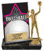 Volleyball Billboard Plaque [PBB6-VB]