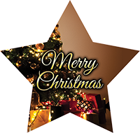 Christmas: Christmas Tree Star Insert [ST-4234]