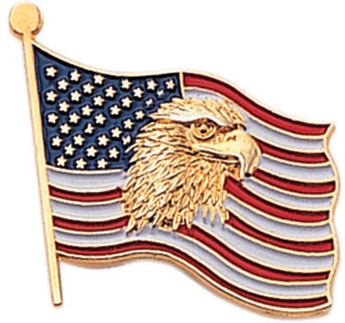American Flag with Eagle Pin [PCM-USA-477]