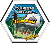 Full Color Hexagon Soccer Plaque with Your Photo [PHXSCFCP11]
