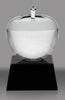Teachers Pet Crystal Apple Award - 4.75 inch [CALP-5-X]