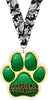 Physical Education Paw Acrylic Medal- 2.75 inch [MACR2-PAW-PHED-Q]