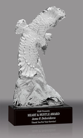 Crystal Soaring Eagle Award [CF17-14-11-EG-X]