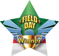 Field Day- Winner Eagle Star Insert [ST-1374]
