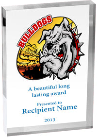 Mascots Vibrix Acrylic Award [A46BV-MSCT]