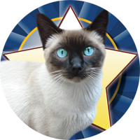 Cats- Siamese Insert [TD-2484]