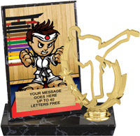 Martial Arts Billboard Plaque [PBB6-MA]