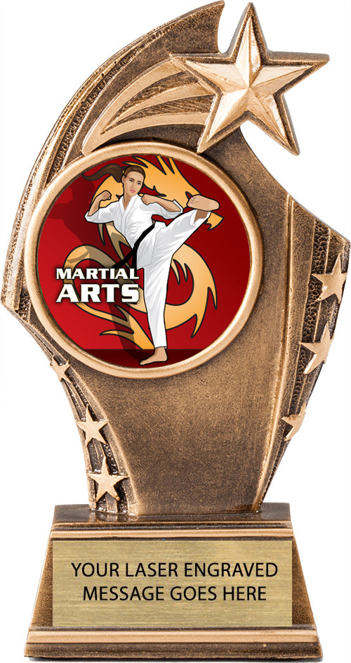 Star Sweeping Insert Trophy [RSSW6-i]