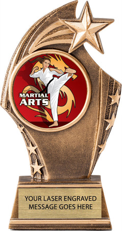 Star Sweeping Insert Trophy [RSSW6-i]