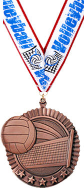 Volleyball 5 Star Medal- Bronze [MP36-VB-B]