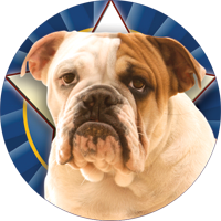 Dogs- English Bulldog Insert [TD-2525]