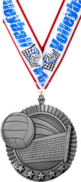 Volleyball 5 Star Medal- Silver [MP36-VB-S]