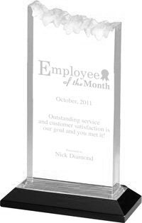 Acrylic Frosted Award with Reflective Bottom- Silver 8 inch [AFRST8-SLV]