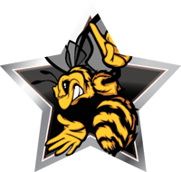 Mascots- Bee Star Insert [ST-2457]