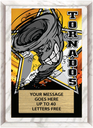 Full Color Plaques [PFCSTK5-MSCT]