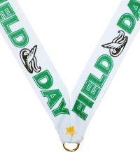 7/8 x 30 in. Field Day Neck Ribbon [NKRB-1051]