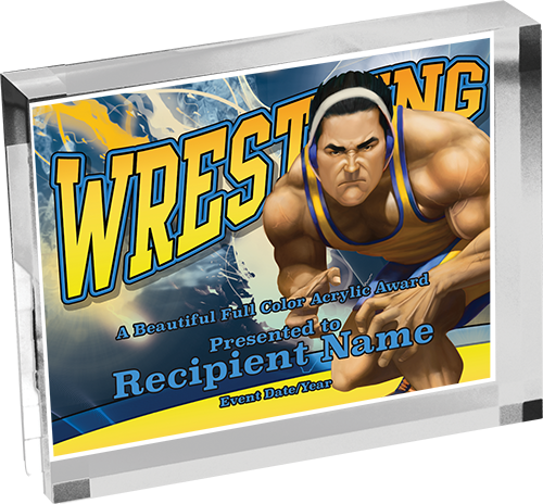 Wrestling Horizontal Vibrix Acrylic Award [A43BH-WS]