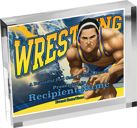 Wrestling Horizontal Vibrix Acrylic Award [A43BH-WS]