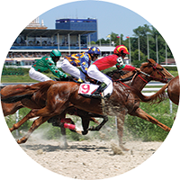 Horses - Racing Insert [TD-3873]