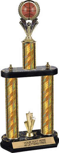 Basketball Spinning Ball 20" Two Post Trophy [T2PSB2D20-BK]