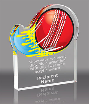 Cricket Splatters Acrylic Award- 3x4 inch [ASLM-34-CRKT-Q]
