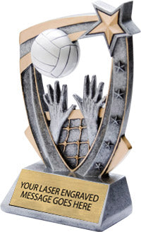 Volleyball 5 Star 3D 6" Resin Trophy [R53D5-VB]