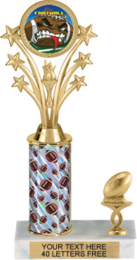 Shooting Star & Torch Insert Trophy with 1 Trim [T1T10i-J58]