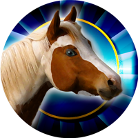 Horses- Pinto Horse Insert [TD-2262]