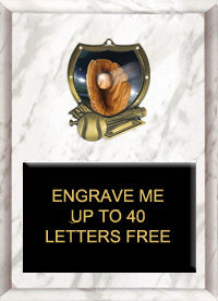 Baseball Sport Shield Plaque [PSHLD79-BS-7-x-9]