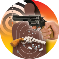 Guns- Pistol Shooting Insert [TD-2430]