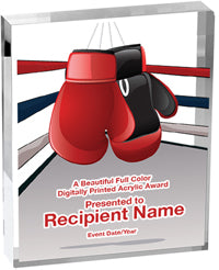 Boxing Vibrix Acrylic Award [A34BV-BX]