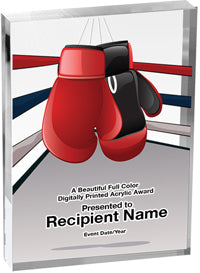 Boxing Vibrix Acrylic Award [ACB68V-BX]